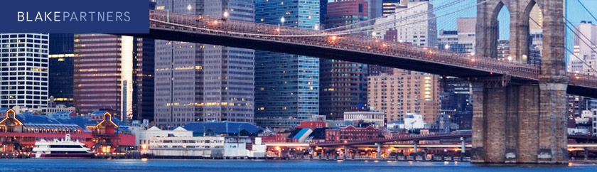 Blake Partners LLC